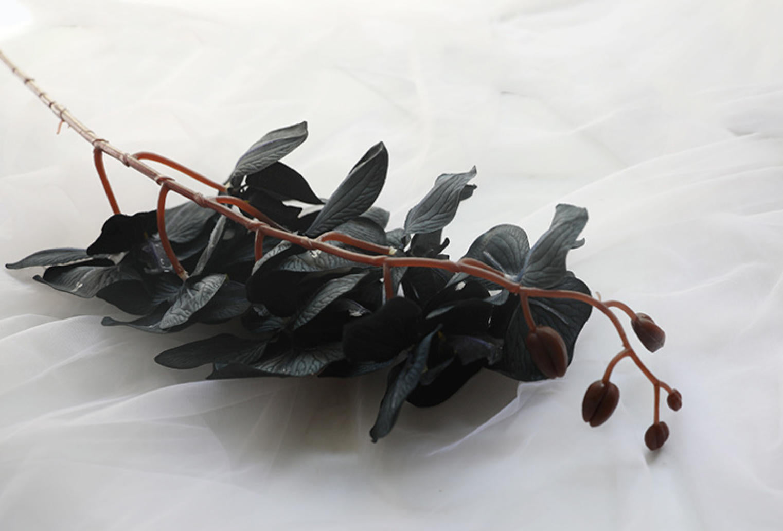 Luxury Real Touch black Phalaenopsis Orchid, Faux Orchid Stem, Elegant Wedding Centerpiece, Artificial Flower Arrangement, Home Decor
