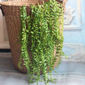 10pcs Length 45cm Artificial Simulation Fern leaves hanging basket flower vine plastic artificial plants Ivy Garland