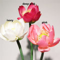3 Stems Artificial Simulation Silk Lotus Water Lily Lotus  Diameter 12cm/4.72"  Home Garden Decoration Flowers
