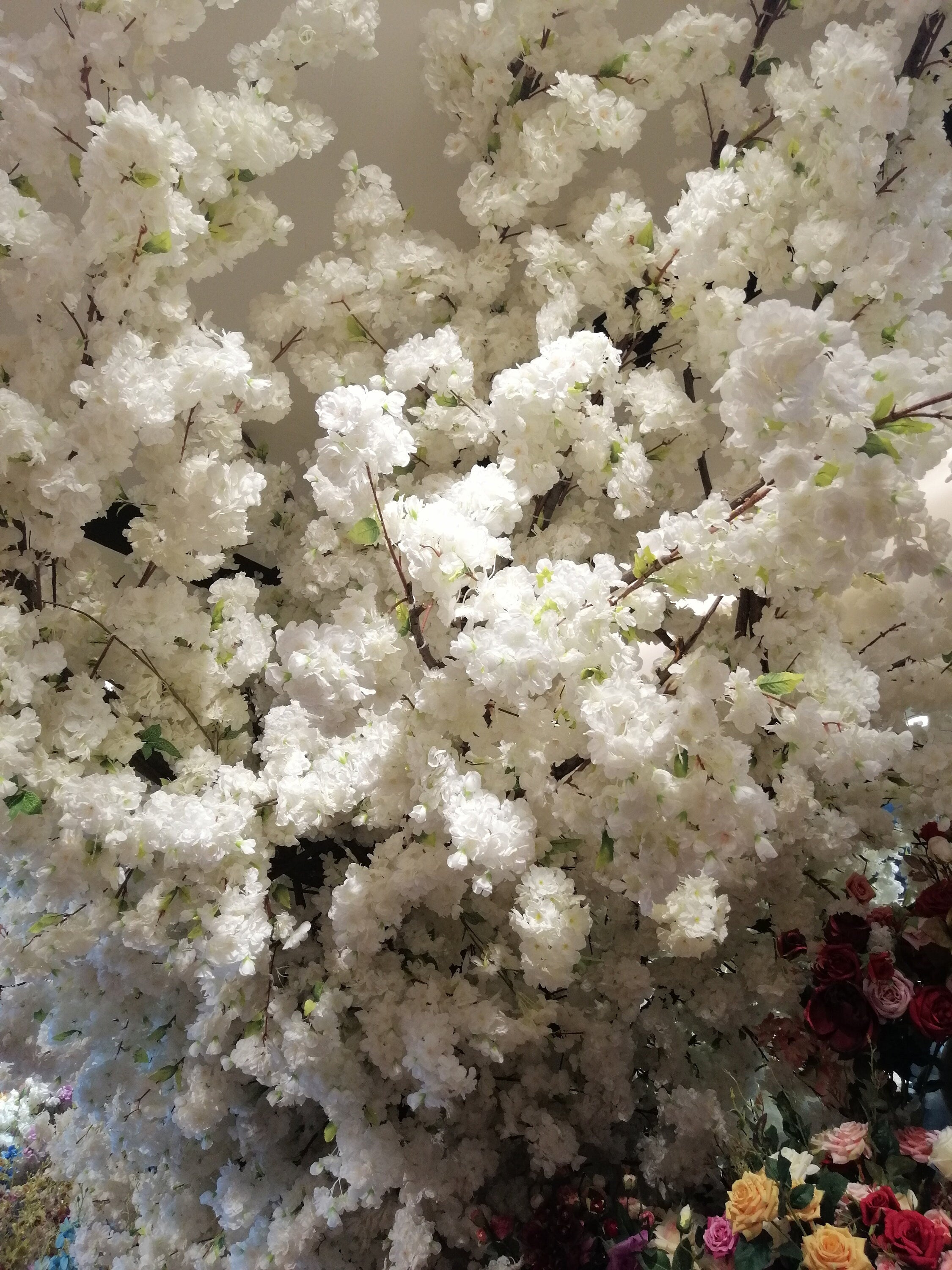 Wholesale 5 Stems Artificial Simulation Silk Cherry Blossom Sakura Wedding Party Decoration Flowers Total Lenght 1 m/39.37"