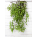 Hanging Plants Artificial Persian Fern Leaf Simulated Persian Leaf Rattan Vine Rattan for HomeWedding Decorations Backdrop Arrangement