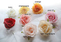 30Heads Wedding Flower Artificial Simulation Silk Rose Camellia Diam.9cm DIY Wedding Event Decoration Backgroudnd Floral