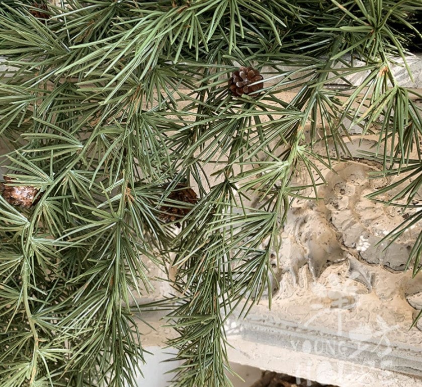 Christmas decorations Artificial Simulation Pine Needle Emulation Pine Nut Branches Hanging Basket Fake Plants Wedding Event Home Decoration