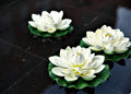 Artificial PE Foam Lotus Flowers 6 PCS Diam.17cm Simulation Water Lily Floating Pool Fish Tank Pond Plants Wedding Home Garden Decoration
