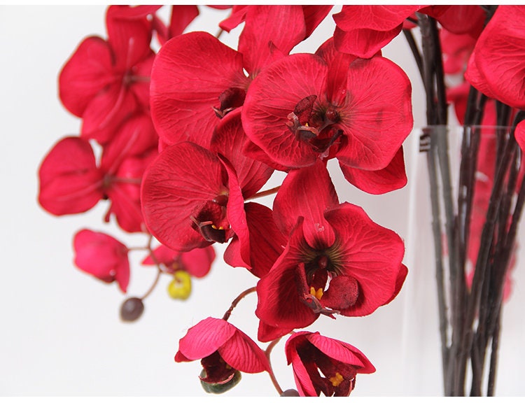 Dark Red Luxury Silk Flower Silk Butterfly Orchid Stem  37" Tall  Wedding Table Centerpiece Butterfly Orchid Phalaenopsis