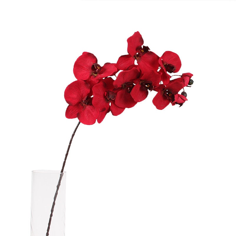 Dark Red Luxury Silk Flower Silk Butterfly Orchid Stem  37" Tall  Wedding Table Centerpiece Butterfly Orchid Phalaenopsis