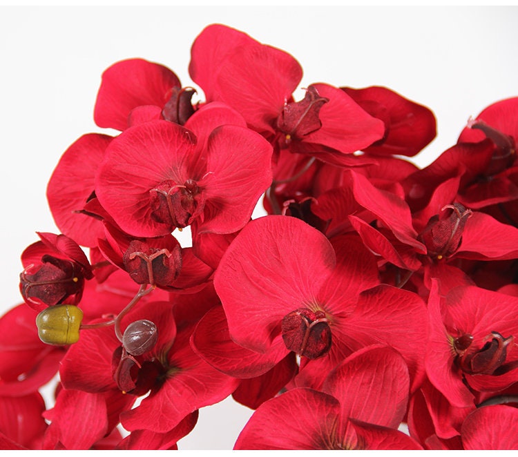 Dark Red Luxury Silk Flower Silk Butterfly Orchid Stem  37" Tall  Wedding Table Centerpiece Butterfly Orchid Phalaenopsis