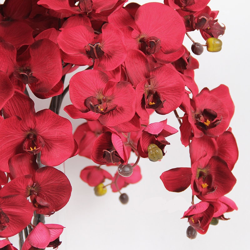 Dark Red Luxury Silk Flower Silk Butterfly Orchid Stem  37" Tall  Wedding Table Centerpiece Butterfly Orchid Phalaenopsis