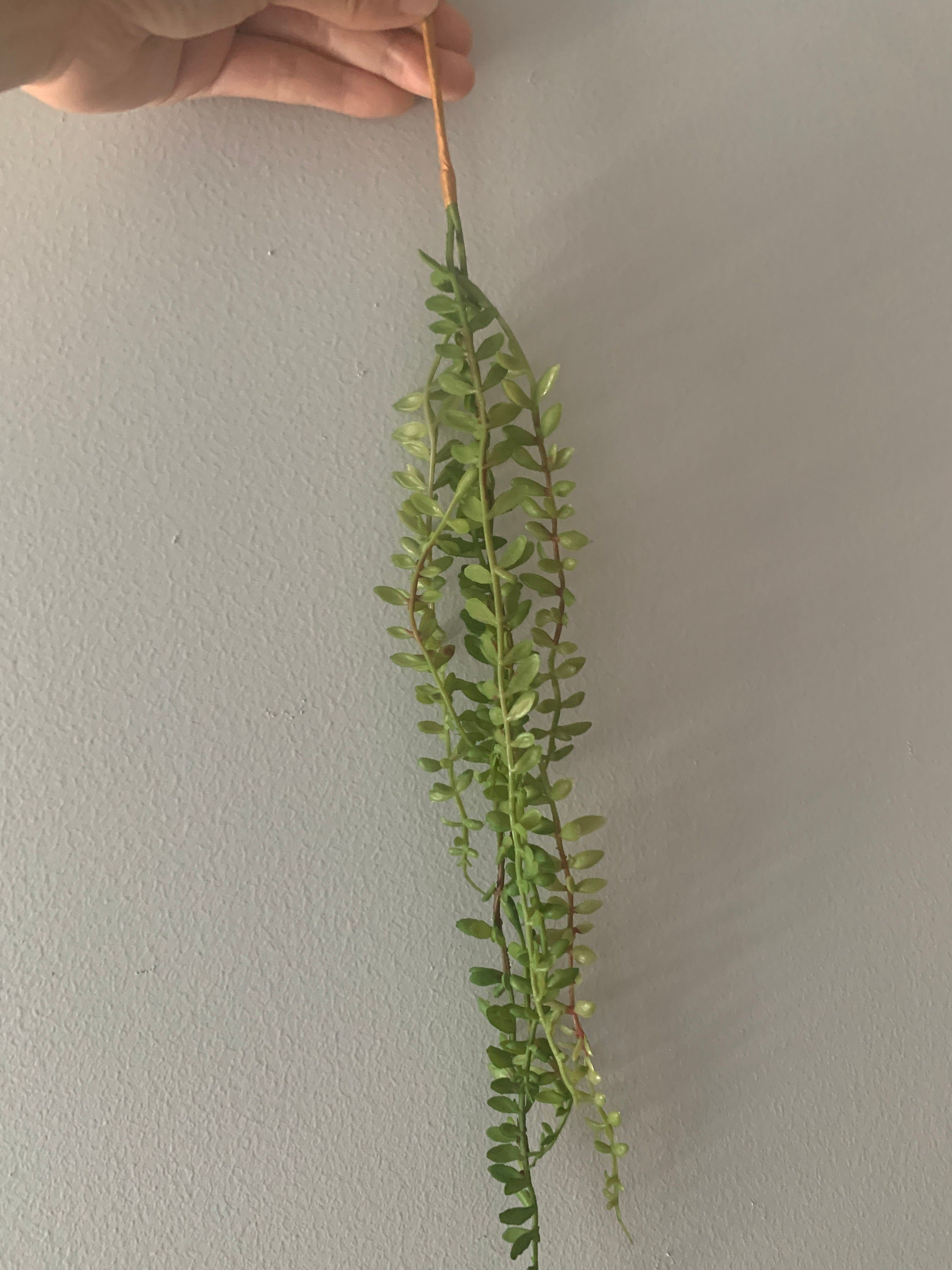 10pcs Length 45cm Artificial Simulation Fern leaves hanging basket flower vine plastic artificial plants Ivy Garland