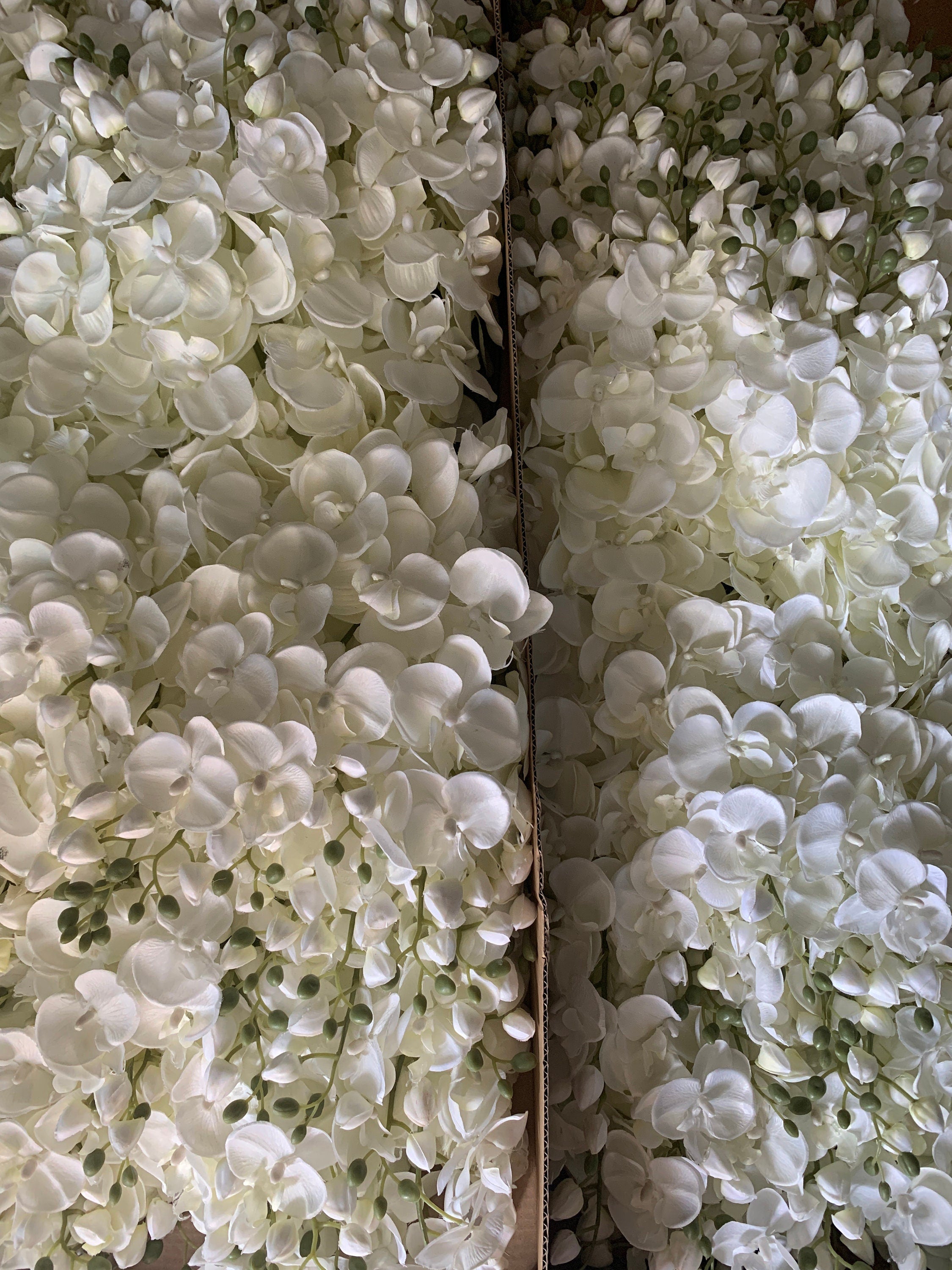 10pcs Ivory Wedding Decoration Artificial Simulation Silk Orchids Butterfly Phalaenopsis For Party Center Table Flower