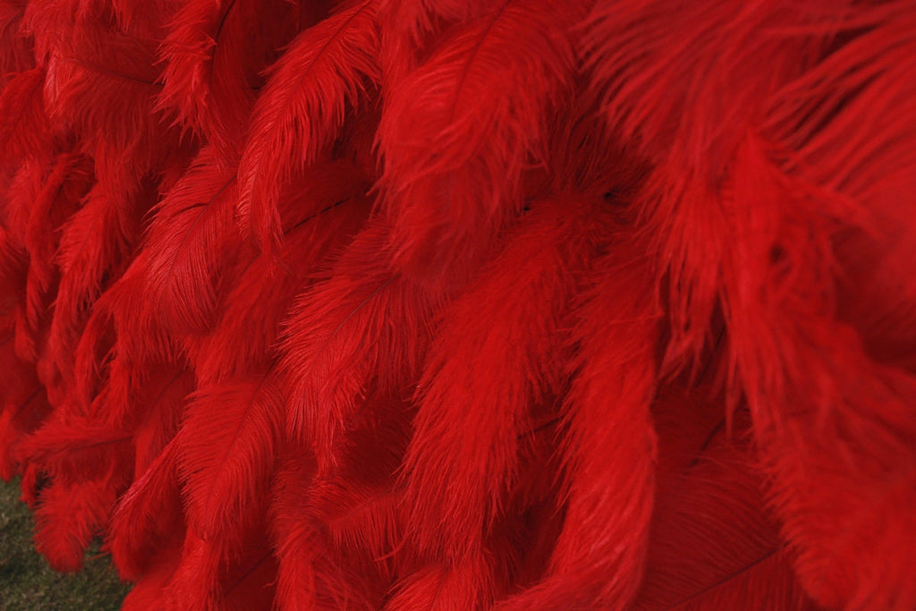 Red Feather Fabric Backdrop for Wedding Party, 3D Layered Photo Background for Bridal Shower Event Decoration