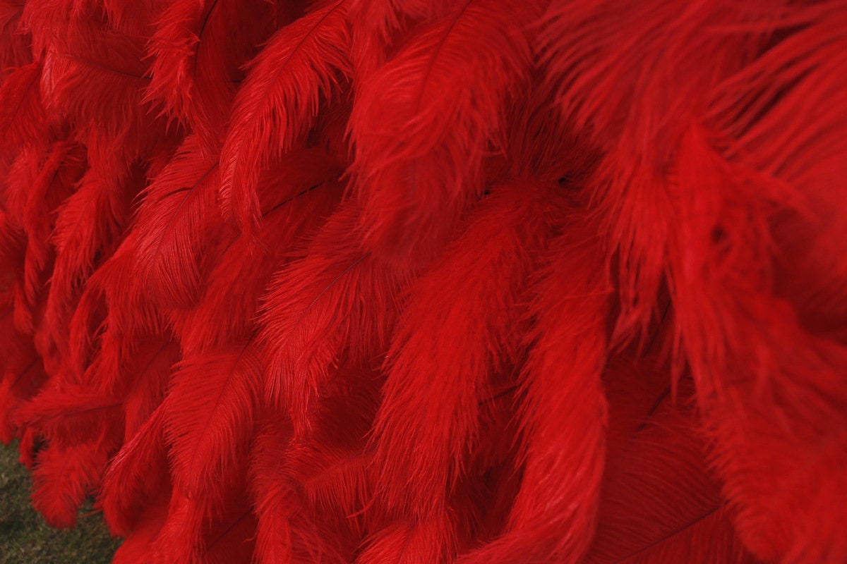 Red Feather Fabric Backdrop for Wedding Party, 3D Layered Photo Background for Bridal Shower Event Decoration