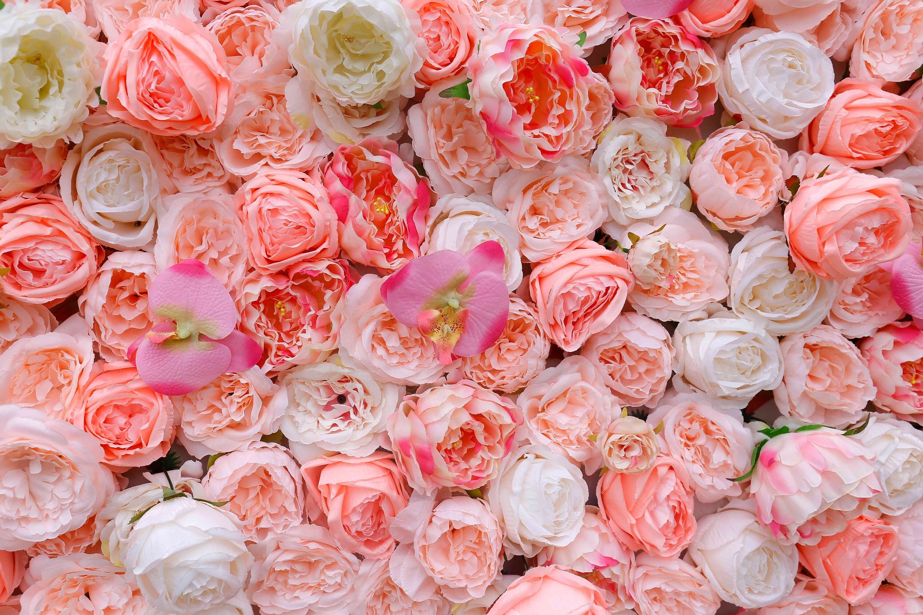 Popular Champagne Pink Flower Wall Wedding Photography Backdrop Special Event Party Boutique Shop Arrangement Decor Floral Panels 40x60cm