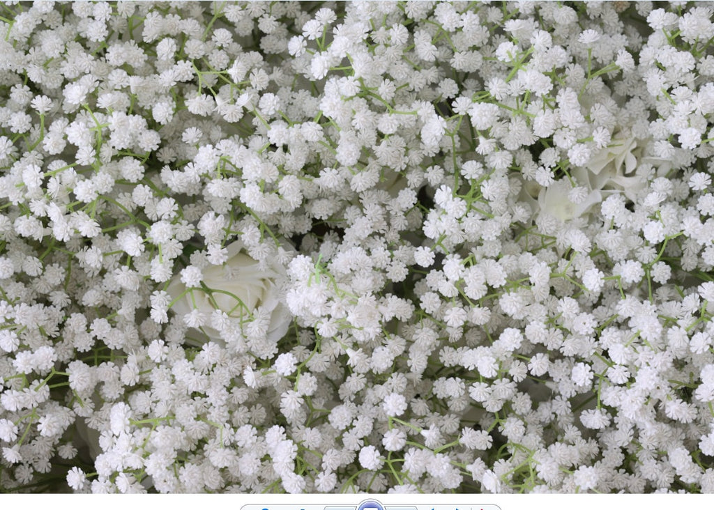 High Quality White Rose Baby Breaths Mix Flower Wall For Wedding Arrangement  Event Photography Backdrop Fabric Rolling Up Curtain Cloth