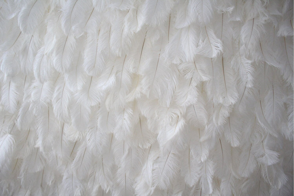 White Feather Wall For Wedding Arrangement Anniversary Salon Party Photography Backdrop Fabric Rolling Up Curtain Cloth