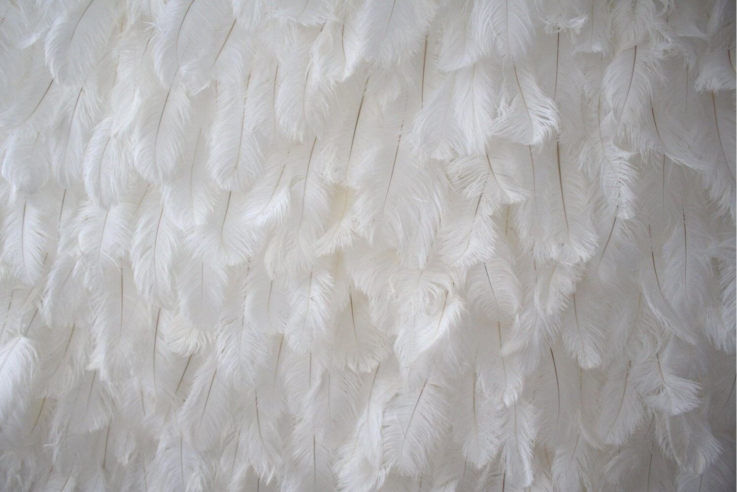 White Feather Wall For Wedding Arrangement Anniversary Salon Party Photography Backdrop Fabric Rolling Up Curtain Cloth