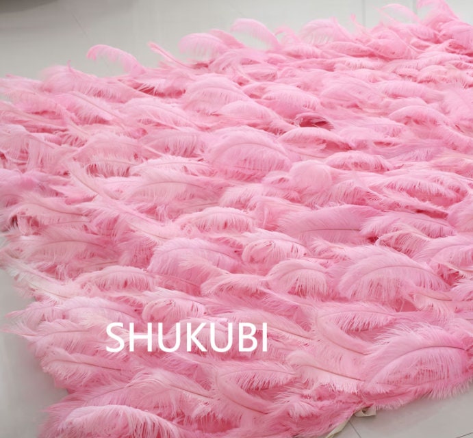 Pink Feather Wall For Wedding Arrangement Anniversary Salon Party Photography Backdrop Fabric Rolling Up Curtain Cloth