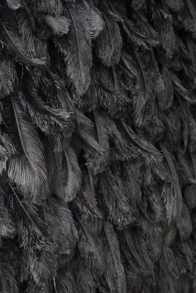 Black Feather Wall For Wedding Arrangement Anniversary Salon Party Photography Backdrop Fabric Rolling Up Curtain Cloth